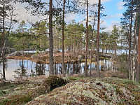 Storen_20201107_5fa6ad915014f.jpg
