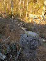 Storen_20201120_5fb7f08392463.jpg