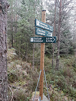 Storen_20201129_5fc3bdb634f0d.jpg