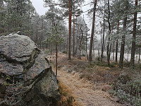 Storen_20201129_5fc3bdb930454.jpg