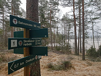Storen_20201129_5fc3bdbb1200c.jpg