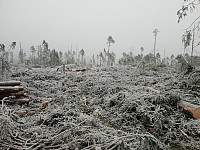Storen_20201129_5fc3bdbc57534.jpg