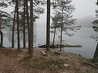 Storen_20201129_5fc3bdbe1e7c5.jpg