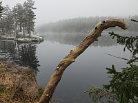 Storen_20201129_5fc3bdbeb2881.jpg