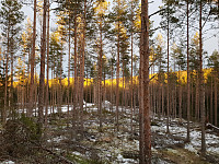 Storen_20210109_5ff9c8add4c00.jpg