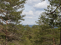 Storen_20210524_60abc48167e00.jpg