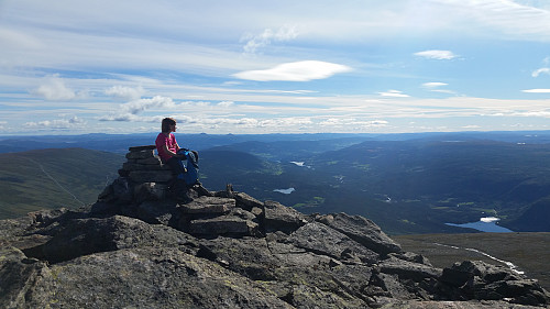 På toppen av Mjellknapp