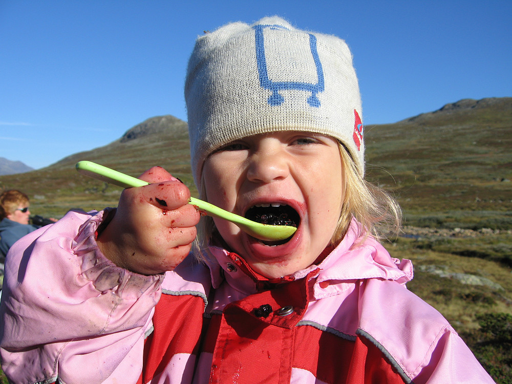Blåbærsuppe