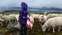 IneKarlsen_20150913_55f56f286eca0.jpg