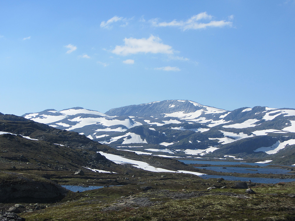 Vargabreen sett fra veien ved Geiteryggen. Den ruvende toppen i midten av bildet er fortoppen på 1744 m