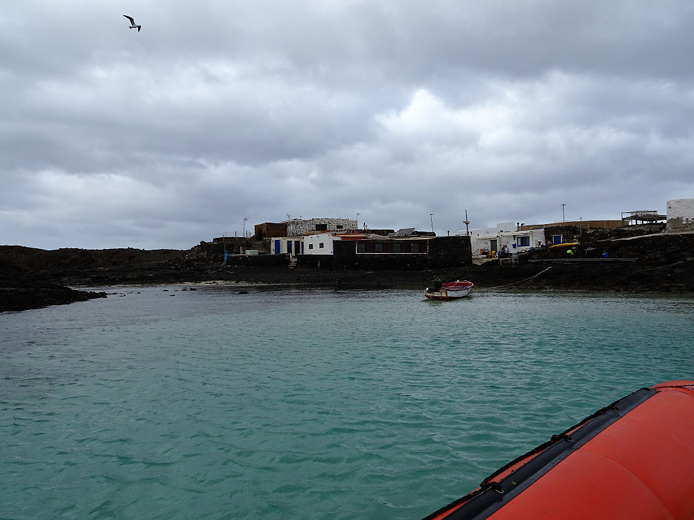 Farvel, Lobos, kort visitt