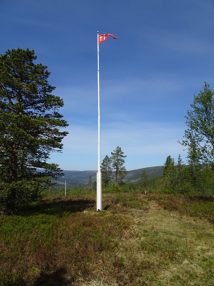 Fint på Gressli