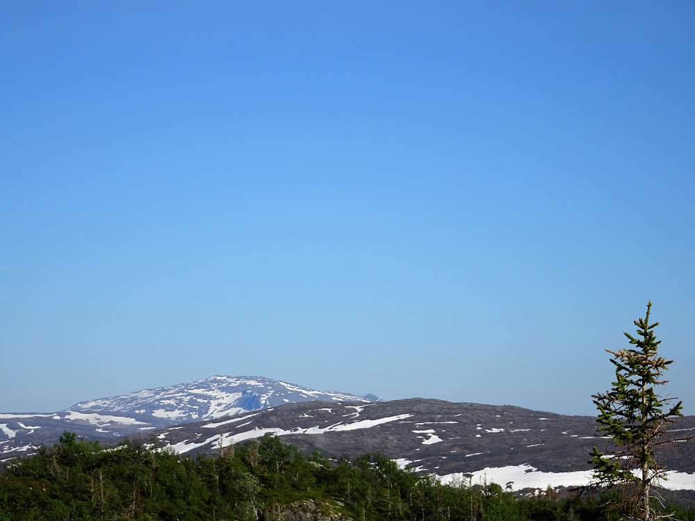 På Bårsetklippen, utsikt mot Fongen og Turrularsen