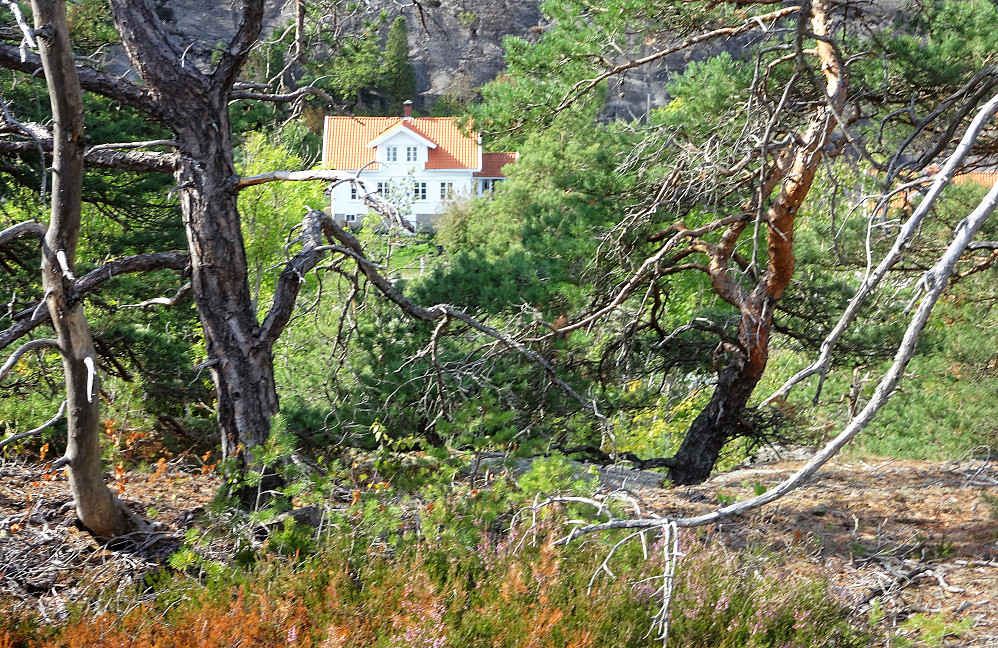 Fra toppen er kunne jeg se over sundet til Kirkøy. 