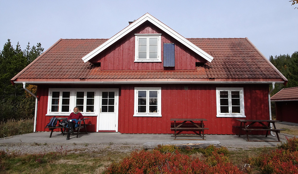 Fugleleiken