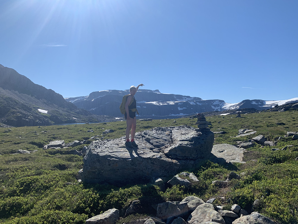 Dagens turmål