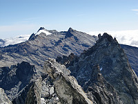 snilen_101-bolivar.jpg