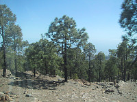 snilen_11-teide.jpg