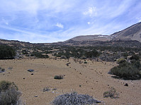 snilen_12-teide.jpg