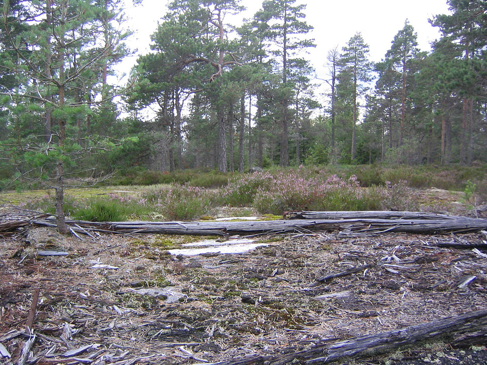 Aremark
