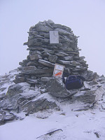snilen_b1794_1.jpg