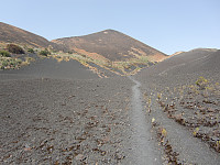 snilen_cimg2079.jpg