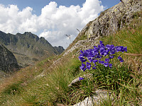 snilen_cimg2804.jpg