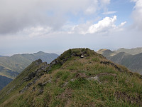 snilen_cimg2835.jpg