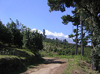 snilen_project87.jpg