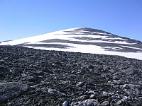snilen_skjåk_-_store_hestbrepigg_fra_2000m-platået_–_kopi.jpg