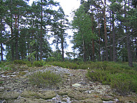 snilen_vestby_-_høgåsen.jpg