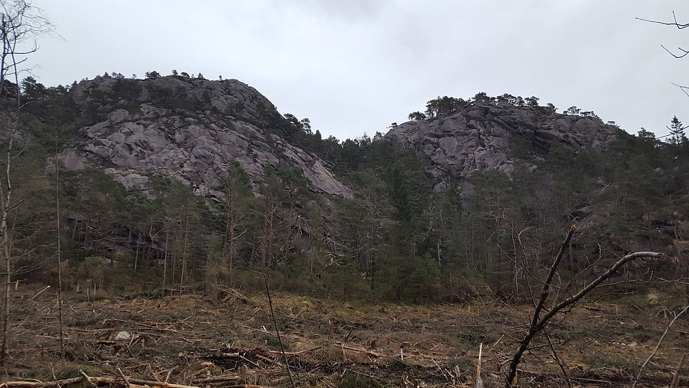 Toppen til venstre er Leirvågfjellet. Mye tømmerhogst i området.