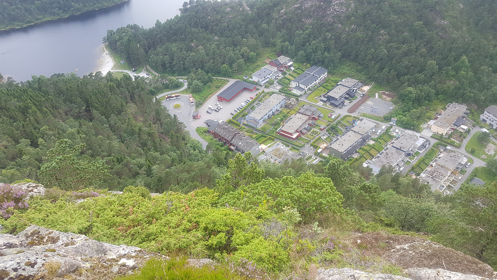 Bratt ned til Nipedalen, sett fra et utsiktspunkt sør for Lyngbønipa