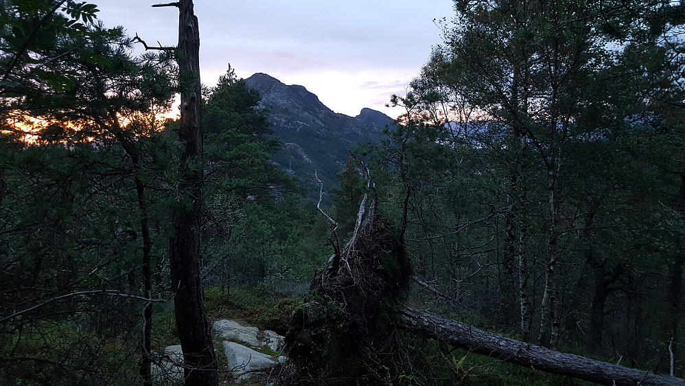 Fra Svartaberget mot Lyderhorn, med Ørnafjellet til høyre.