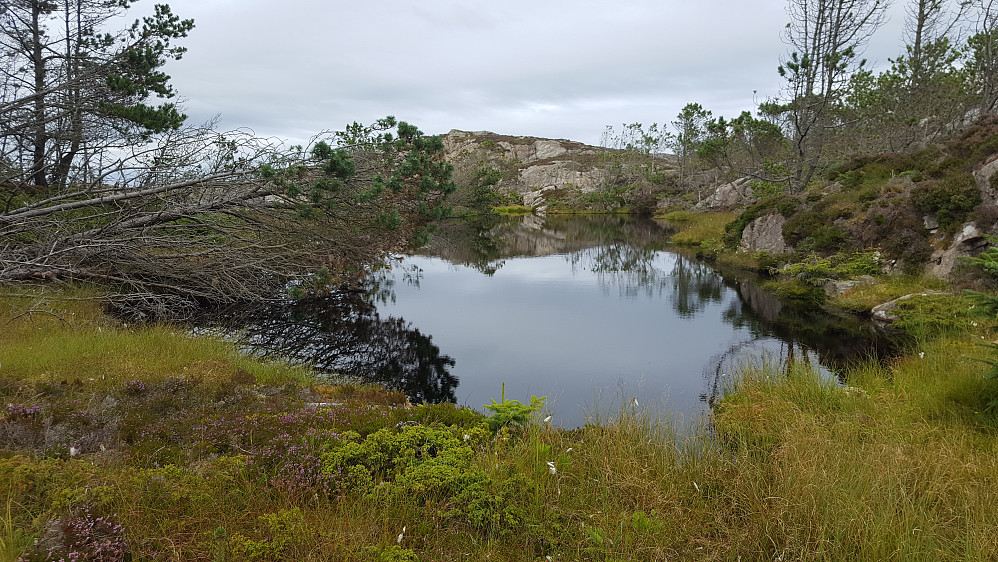 På Skogsøyna er det flere små vann.