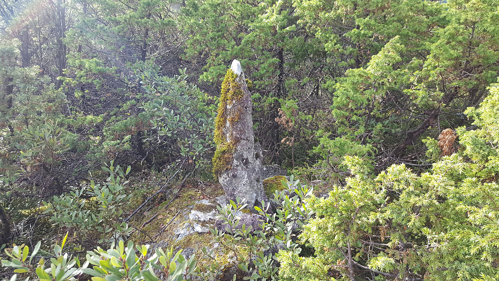 En artig stein markerer toppen av Loneheia.