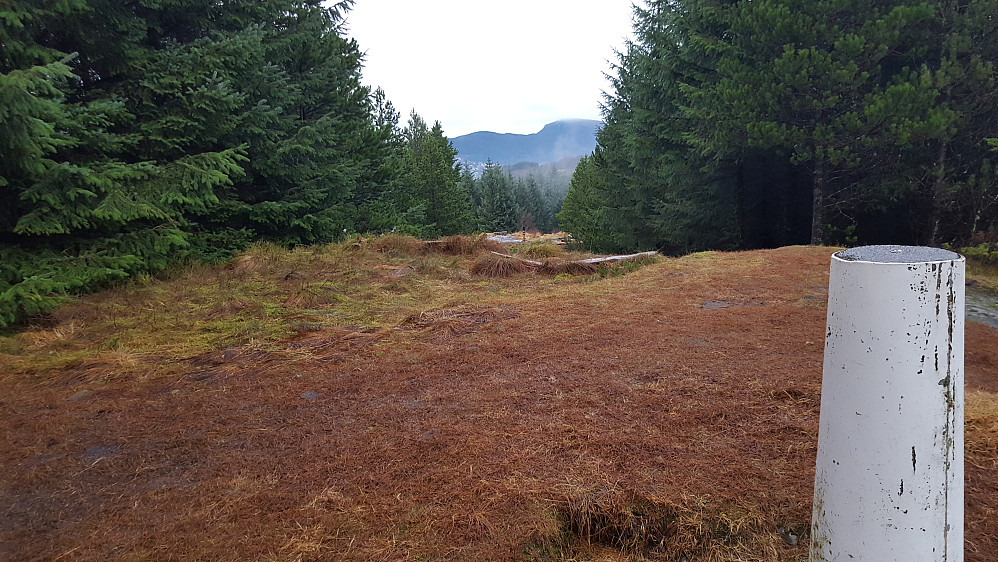 Utsikt fra Hamrefjellet. Gullsteinen (til venstre) og Løvstakken (til høyre) i bakgrunnen.