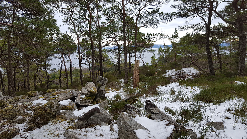 Toppen av Stordalsåsen, sett mot sørøst.