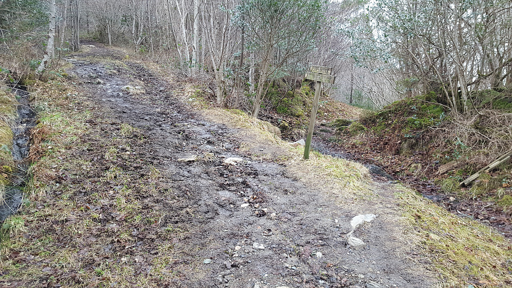 Stidele ved Vargavågen, innerst i Torkjelsvegen. Stien til høyre går til Vargaholo, mens stien til venstre går til Katlaberget.