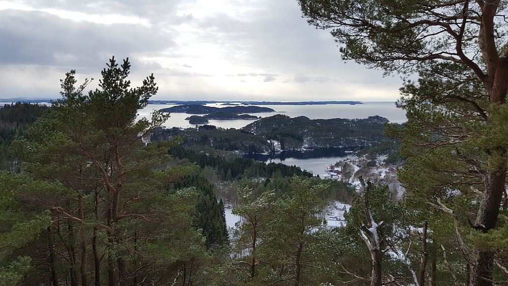 Fra Fjærhovda mot sørvest. Austevoll bakerst.