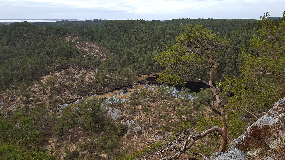 Fra Gaursfjellet mot nordvest.