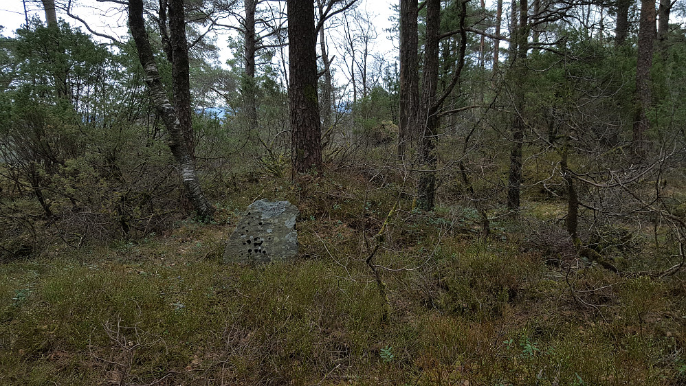 Toppen av Tiurleiken er markert med en stein på høykant.