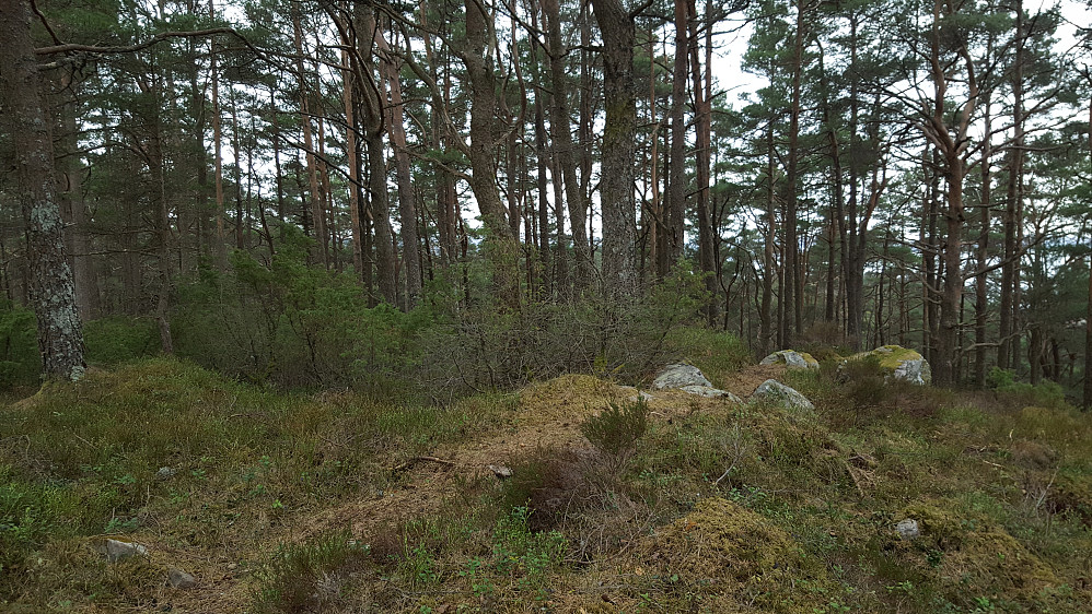 Toppen av Varden på Askøy.