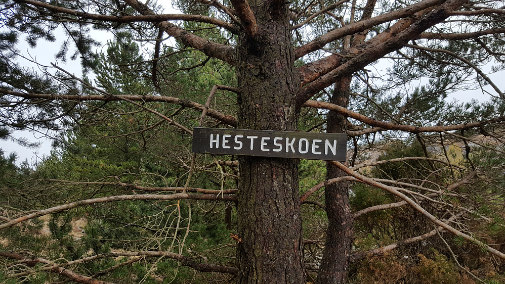 Det står skilt ved starten av stien, i den skarpe svingen i Fjæreidevegen.