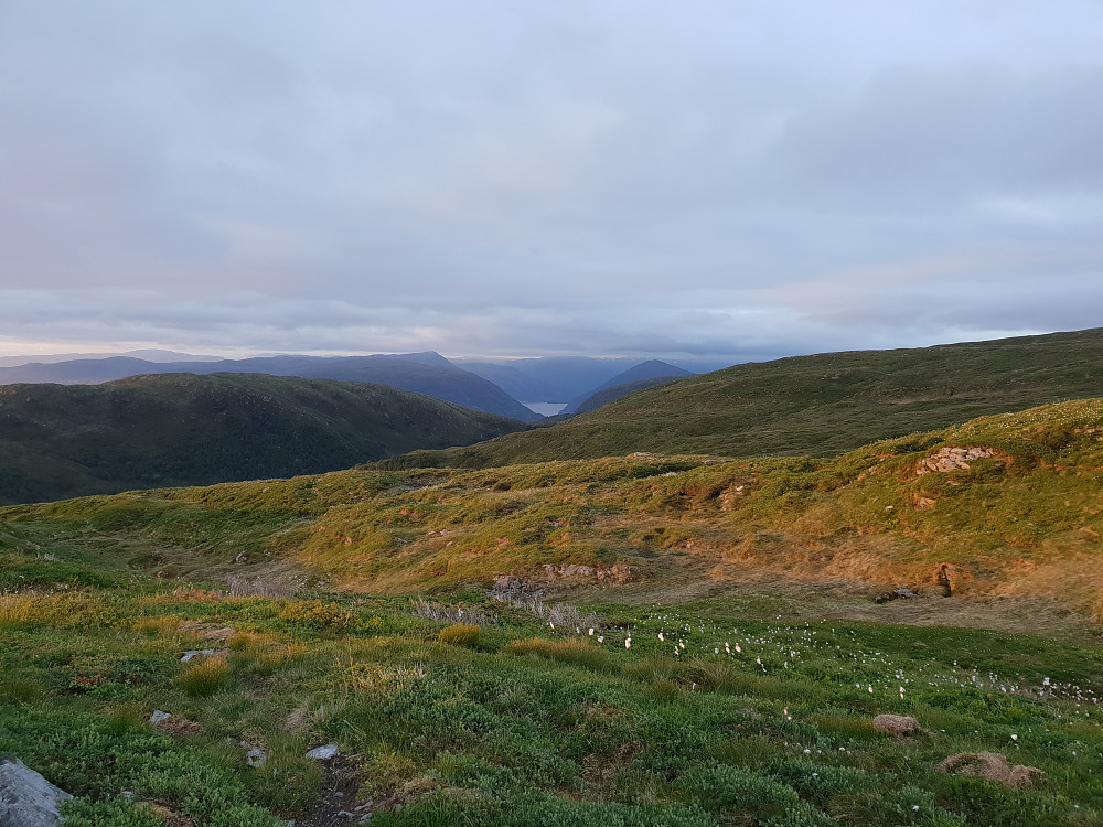 Utsikt nordøstover, et stykke nord for Skåldalsnipa. Bruviknipa (til venstre) og Hananipa på hver sin side av Sørfjorden.