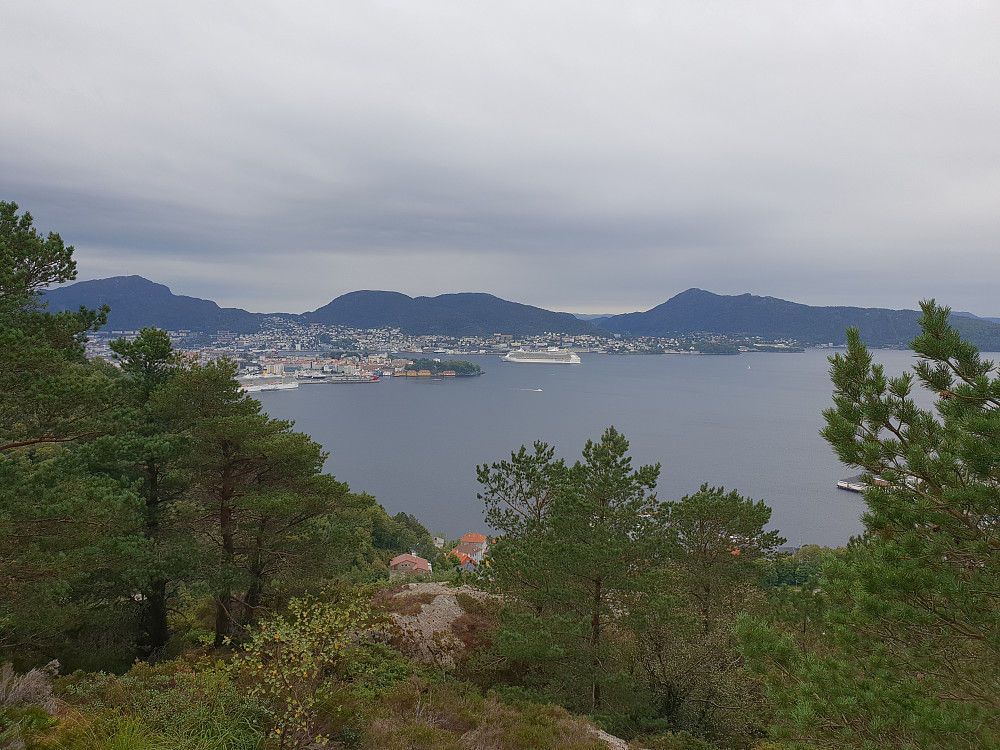 Fra Håmanen mot sentrum av Bergen.