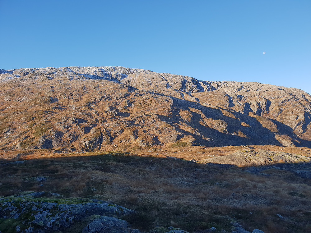 Fra Mannaleitnipa mot Gullfjellhalsen.
