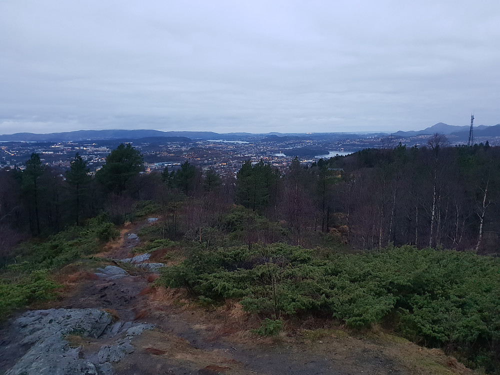 Fra Vardane mot nordvest. Masten på Torneberget til høyre.