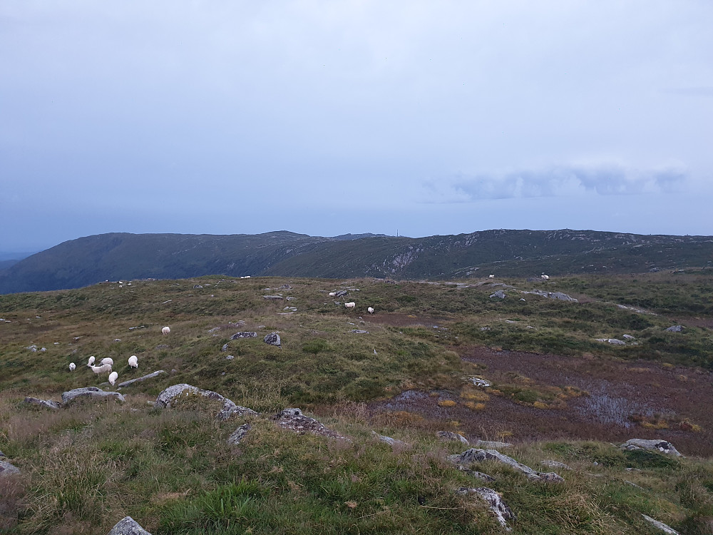 Fra Borga mot sørvest. Masten på Ulriken til høyre for midten.