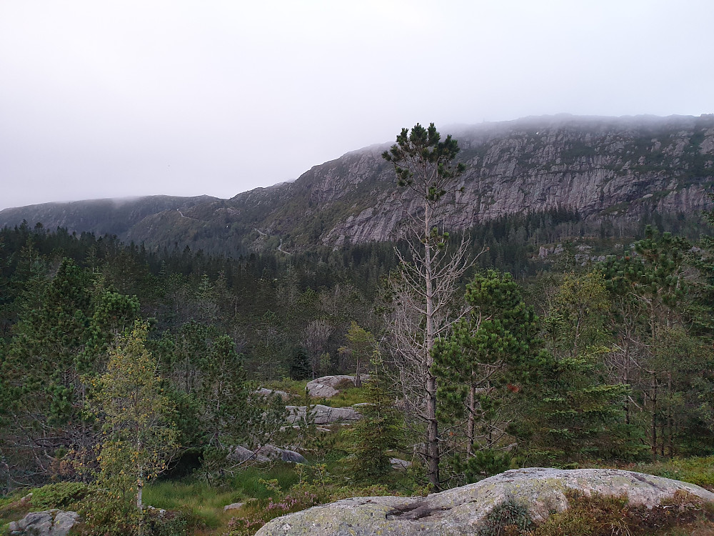 Fra Nordre Midtfjellet mot nordøst. Vi ser veien fra Brushytten til Rundemanen. Blåmanen til høyre.